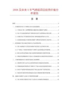 2026及未來5年氣噴咀項目投資價值分析報告