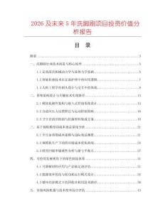2026及未來5年洗腳刷項(xiàng)目投資價(jià)值分析報(bào)告