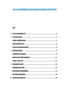 電力行業運營管理分析及投資資本運作規劃分析研究報告
