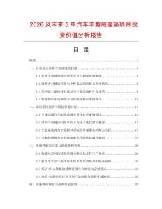 2026及未來5年汽車羊剪絨座墊項目投資價值分析報告