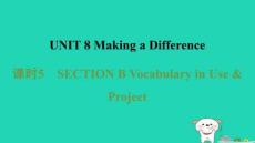 2026八年级英语下册Unit8MakingaDifference课时5sectionBVocabularyinUseProject习题课件新版人教新目标版