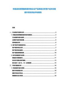 布隆迪互聯網服務提供商企業產品質量分析用戶成本控制提升項目資金評估報告
