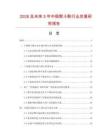 2026及未來5年中國熨斗靴行業發展研究報告