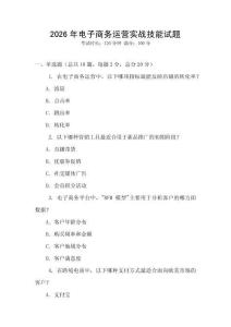 2026年電子商務運營實戰技能試題