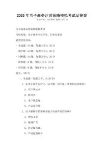 2026年電子商務運營策略模擬考試及答案
