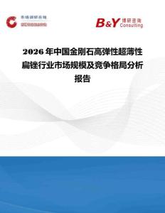 2026年中國金剛石高彈性超薄性扁銼行業市場規模及競爭格局分析報告