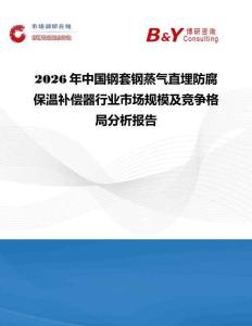 2026年中國鋼套鋼蒸氣直埋防腐保溫補償器行業(yè)市場規(guī)模及競爭格局分析報告