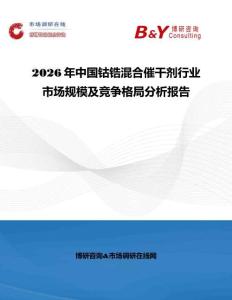 2026年中國鈷鋯混合催干劑行業市場規模及競爭格局分析報告