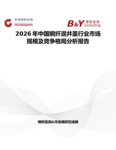 2026年中國鋼纖混井蓋行業市場規模及競爭格局分析報告