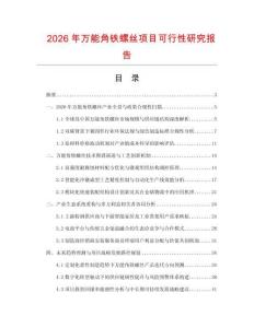 2026年萬能角鐵螺絲項目可行性研究報告