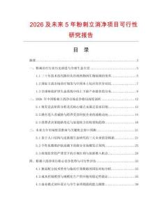 2026及未来5年粉刺立消净项目可行性研究报告