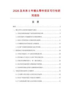 2026及未來5年模頭零件項目可行性研究報告
