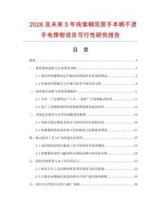 2026及未來5年純紫銅雙層手本柄不燙手電焊鉗項目可行性研究報告