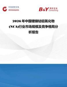 2026年中國鋰鎳鈷鋁氧化物(NCA)行業市場規模及競爭格局分析報告