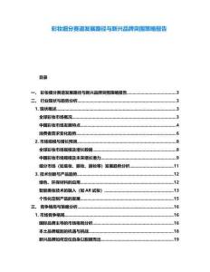 彩妝細分賽道發(fā)展路徑與新興品牌突圍策略報告