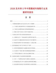 2026及未來5年中國簇絨布拖鞋行業(yè)發(fā)展研究報告