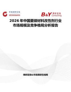 2026年中国菱镁材料改性剂行业市场规模及竞争格局分析报告