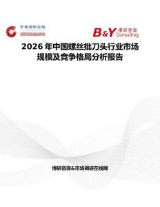 2026年中國螺絲批刀頭行業(yè)市場規(guī)模及競爭格局分析報告