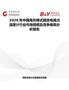 2026年中國角形棒式固定電接點溫度計行業市場規模及競爭格局分析報告