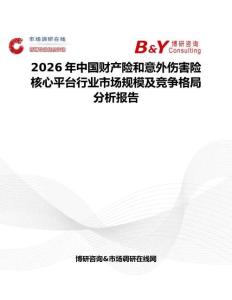 2026年中國財產險和意外傷害險核心平臺行業市場規模及競爭格局分析報告