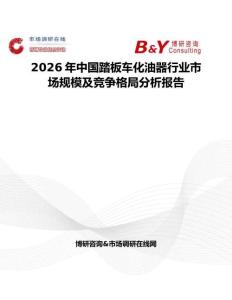 2026年中國(guó)踏板車化油器行業(yè)市場(chǎng)規(guī)模及競(jìng)爭(zhēng)格局分析報(bào)告