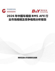 2026年中國(guó)車(chē)規(guī)級(jí)BMS AFE行業(yè)市場(chǎng)規(guī)模及競(jìng)爭(zhēng)格局分析報(bào)告