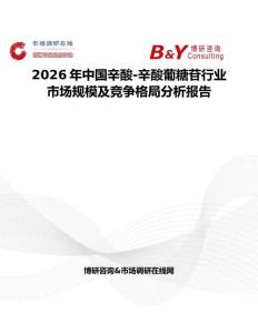 2026年中國辛酸-辛酸葡糖苷行業(yè)市場規(guī)模及競爭格局分析報告