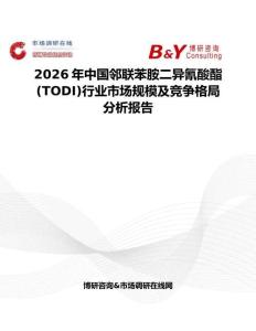 2026年中國鄰聯苯胺二異氰酸酯 (TODI)行業市場規模及競爭格局分析報告