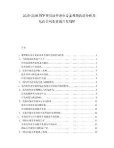 2025-2030俄羅斯石油開采業設備升級改造分析及東西伯利亞資源開發戰略