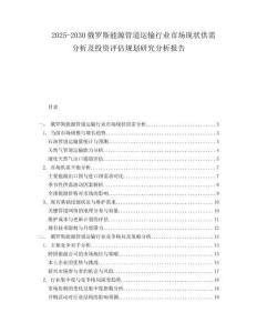 2025-2030俄羅斯能源管道運輸行業市場現狀供需分析及投資評估規劃研究分析報告