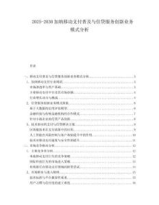 2025-2030加納移動支付普及與信貸服務創新業務模式分析