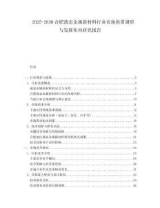 2025-2030合肥液態(tài)金屬新材料行業(yè)市場供需調(diào)研與發(fā)展布局研究報告