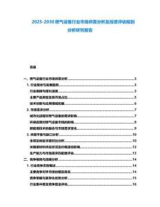 2025-2030燃氣設備行業市場供需分析及投資評估規劃分析研究報告