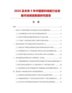 2026及未來(lái)5年中國(guó)塑料線板行業(yè)發(fā)展市場(chǎng)調(diào)查數(shù)據(jù)研究報(bào)告