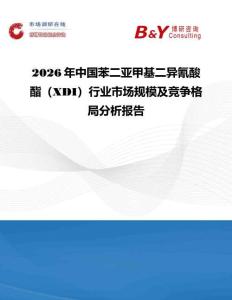 2026年中國苯二亞甲基二異氰酸酯（XDI）行業(yè)市場規(guī)模及競爭格局分析報(bào)告