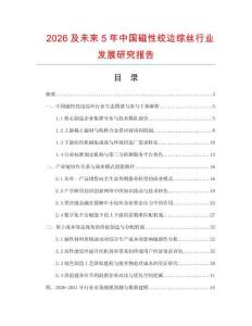 2026及未來5年中國磁性絞邊綜絲行業發展研究報告