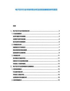 電子支付行業市場供需分析及投資戰略規劃研究報告