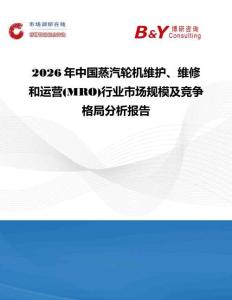 2026年中國蒸汽輪機維護、維修和運營(MRO)行業市場規模及競爭格局分析報告