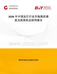 2026年中國汞燈行業(yè)市場現(xiàn)狀調(diào)查及投資機(jī)會(huì)研判報(bào)告