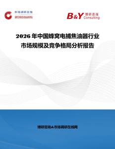 2026年中國蜂窩電捕焦油器行業市場規模及競爭格局分析報告