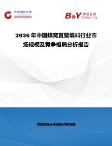 2026年中國蜂窩直管填料行業(yè)市場規(guī)模及競爭格局分析報(bào)告