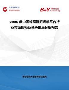2026年中國蜂窩隔振光學平臺行業市場規模及競爭格局分析報告