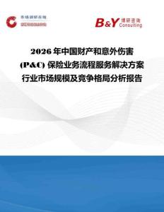2026年中國財產和意外傷害 (P&C) 保險業務流程服務解決方案行業市場規模及競爭格局分析報告