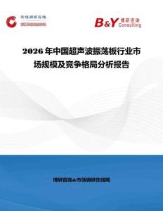 2026年中国超声波振荡板行业市场规模及竞争格局分析报告