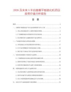 2026及未來5年自推模平板硫化機項目投資價值分析報告