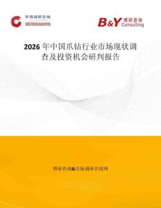2026年中國爪鉆行業市場現狀調查及投資機會研判報告