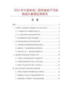 2025年中國單相二級帶接地不可拆線插頭數據監測報告