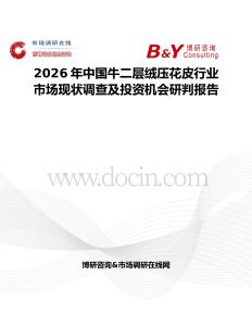 2026年中國牛二層絨壓花皮行業市場現狀調查及投資機會研判報告