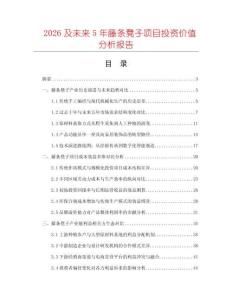2026及未來5年藤條凳子項目投資價值分析報告