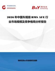 2026年中國(guó)車(chē)規(guī)級(jí)BMS AFE行業(yè)市場(chǎng)規(guī)模及競(jìng)爭(zhēng)格局分析報(bào)告